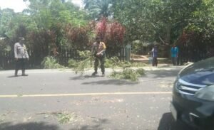 Demi Keselamatan Penguna Jalan Dua Personil Bhabinkamtibmas Polsek Rantau Bersihkan Pohon Tumbang