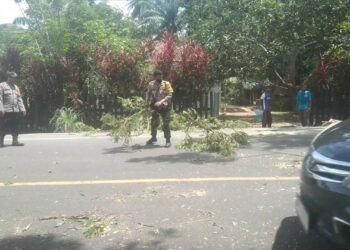 Demi Keselamatan Penguna Jalan Dua Personil Bhabinkamtibmas Polsek Rantau Bersihkan Pohon Tumbang