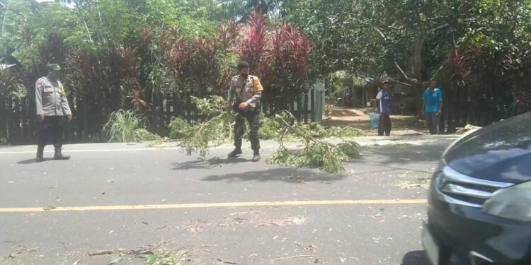 Demi Keselamatan Penguna Jalan Dua Personil Bhabinkamtibmas Polsek Rantau Bersihkan Pohon Tumbang