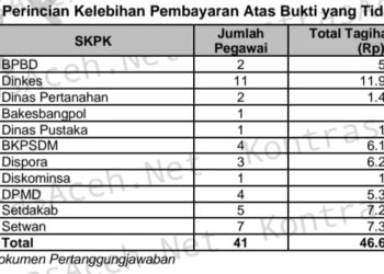 BPK Temukan Kelebihan Bayar Perjalanan Dinas Simeulue Mencapai Puluhan Juta 
