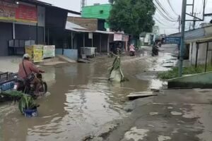 Sempat Viral Jalan Srigunting Begini Kata Janso Sipahutar