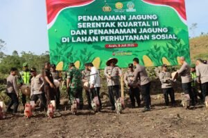 Polda Aceh Kerahkan Ratusan Alsintan untuk Dukung Penanaman Jagung Serentak Kuartal III
