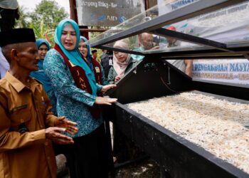 Ketua TP PKK Aceh Ajak Masyarakat Manfaatkan Janeng untuk Meningkatkan Perekonomian Keluarga