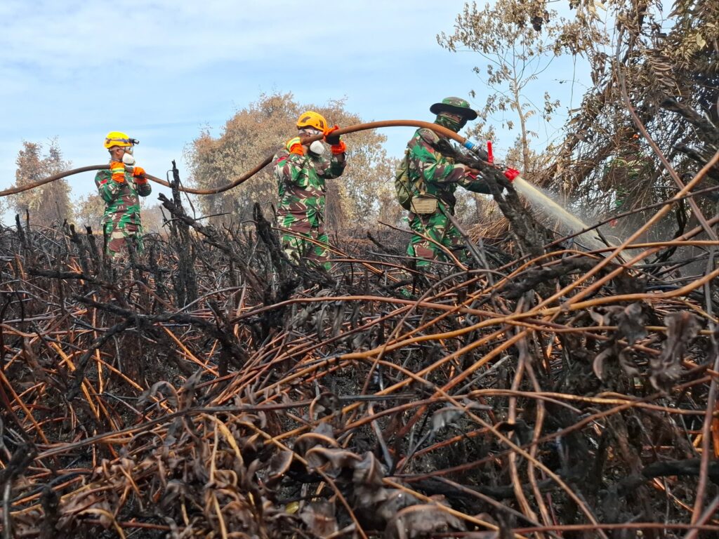 IMG-20250805-WA0063-1024x768 Presiden Atensi Karhutla, Pangdam I/BB Tinjau Langsung Penanganan Karhutla di Rohil