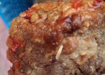 Beredar Video Makanan Bergizi Berulat diSimeulue 