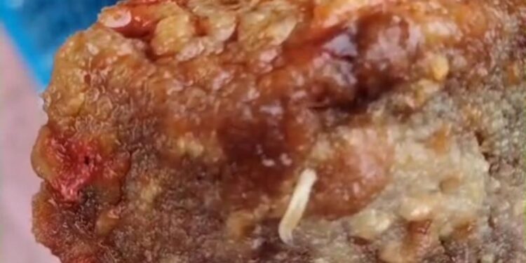 Beredar Video Makanan Bergizi Berulat diSimeulue