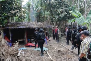 Polda Sumut Bongkar Jaringan Narkoba di THM New Blue Star dan Barak Narkoba