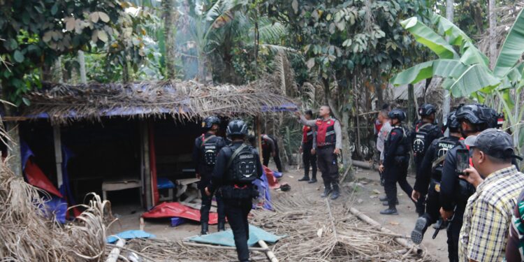 Polda Sumut Bongkar Jaringan Narkoba di THM New Blue Star dan Barak Narkoba