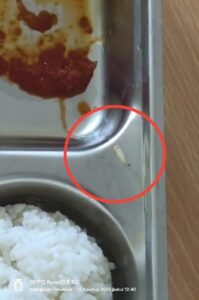 Program Makan Bergizi Disimeulue Menjadi Sorotan, Ulat Kembali Ditemukan Dimakanan Siswa