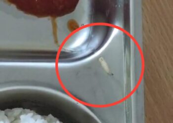 Makanan Bergizi Di Simeulue Menjadi Sorotan : Jangkah Satu Hari Ulat Kembali Dimakanan Siswa