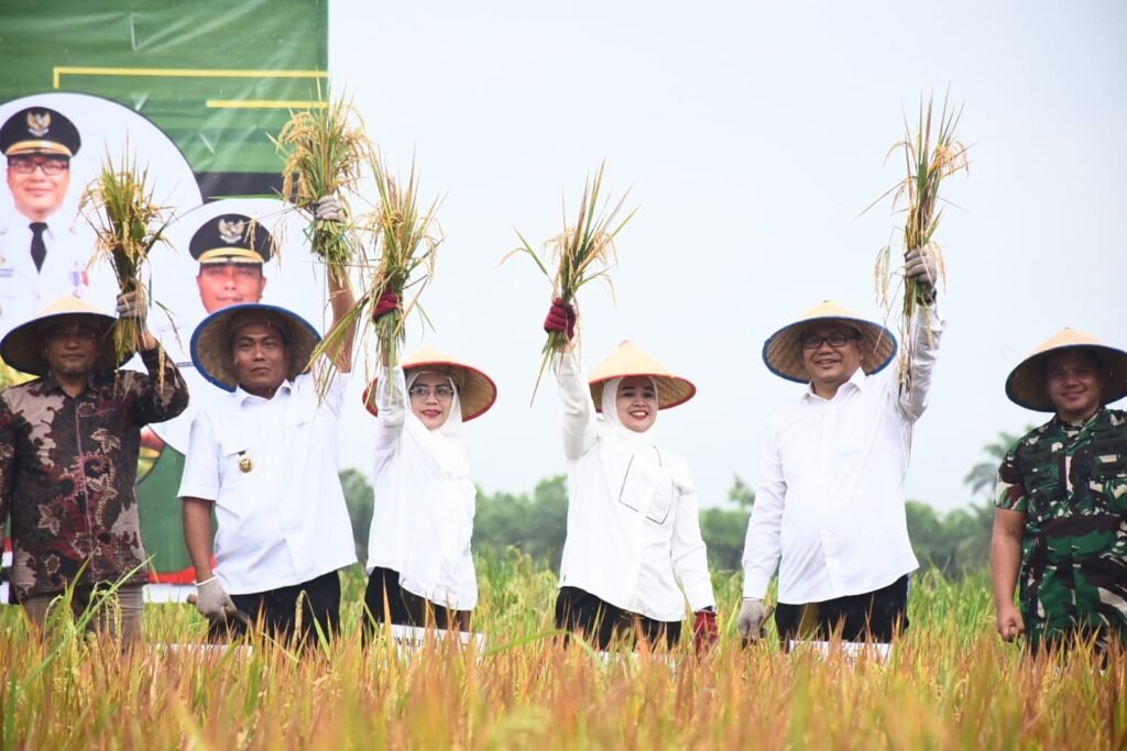 Baru Dilantik, Elinasari Nasution Gercep Awasi dan Jaga Harga Jual Gabah dari Petani