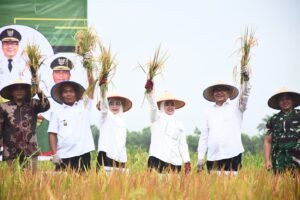 Baru Dilantik, Elinasari Nasution Gercep Awasi dan Jaga Harga Jual Gabah dari Petani