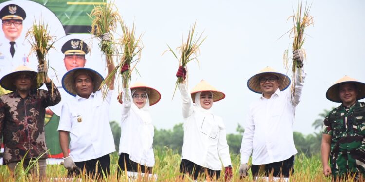 Baru Dilantik, Elinasari Nasution Gercep Awasi dan Jaga Harga Jual Gabah dari Petani