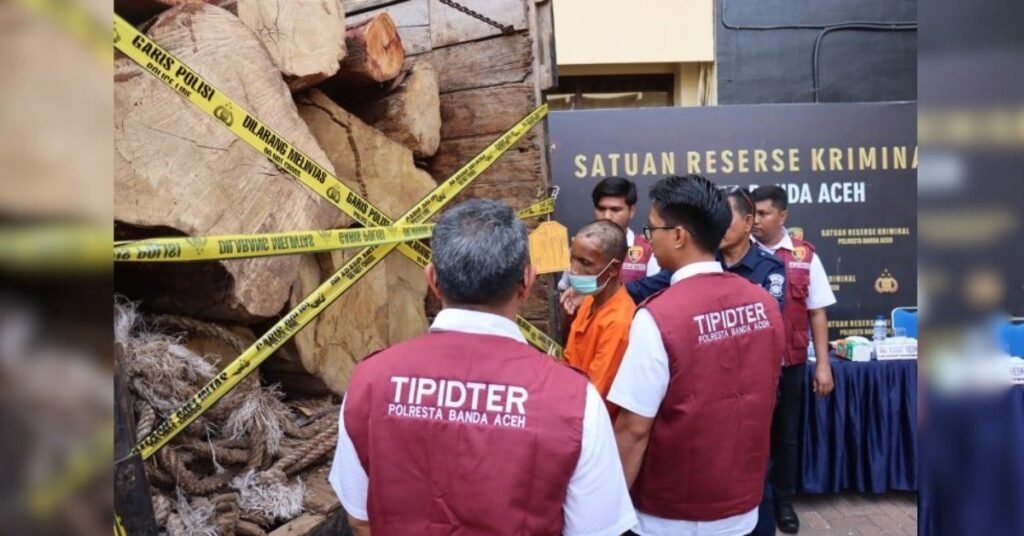 Polisi Tangkap Warga Aceh Besar Angkut 7,7 Kubik Kayu Ilegal