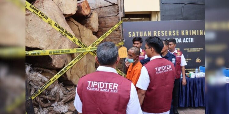 Polisi Tangkap Warga Aceh Besar Angkut 7,7 Kubik Kayu Ilegal