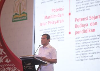 Sebut Sawit Aceh Bebas Deforestasi, Wagub Ajak Perusahaan Global Investasi di Aceh