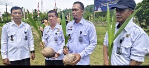 Lapas Sinabang Gelar Penanaman Pohon Kelapa Serentak Nasional