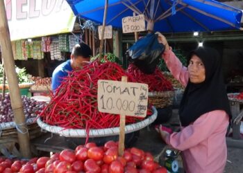 Harga Cabai di Medan Tembus Rp 60–76 Ribu/Kg, Bobby Nasution: Harga Rp 35 Ribu!