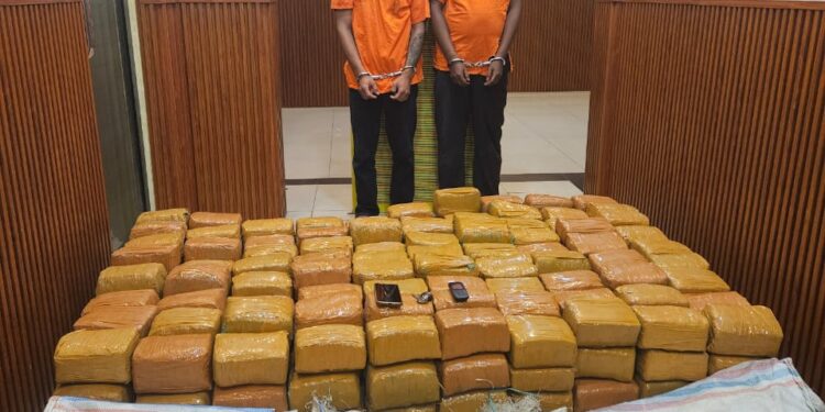 Polda Sumut Gagalkan Peredaran 255 Kg Ganja Asal Aceh, Dua Kurir Ditangkap