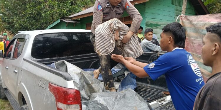 Update Bencana Taput Sembilan Warga Ditemukan Meninggal, 31 Masih Dicari, 134 Mengungsi