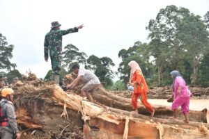 Kodam I/BB Bersama BNPB dan Relawan Bangun Jembatan Darurat untuk Warga Terisolir Banjir di Batang Toru