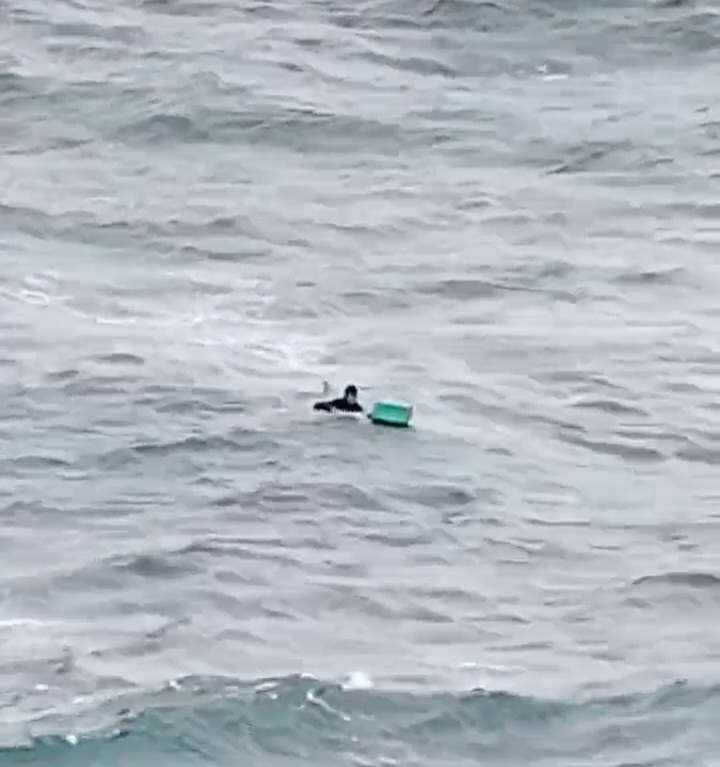 Screenshot_20251126_020924_WhatsApp Satu Nelayan Paluh Sibaji Selamat di Lautan Malaysia Empat Korban Hilang Belum Ditemukan