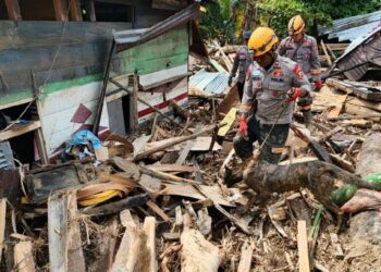 Tim K9 Polri Temukan Mayat Perempuan di Bawah Puing Kayu Depan Gereja GKPA Huta Godang