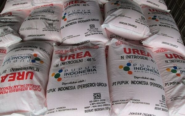 Kejaksaan Negeri Simeulue di Desak Selidiki Pupuk Bersubsidi