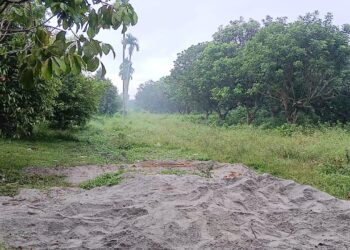 Isu Penyerobotan Tanah Dibantah Bupati Deli Serdang, Begini Penjelasannya!