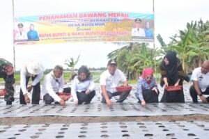 Petani Sukses Mampu Tingkatkan Produktivitas & Hasil Ekonomi yang Layak