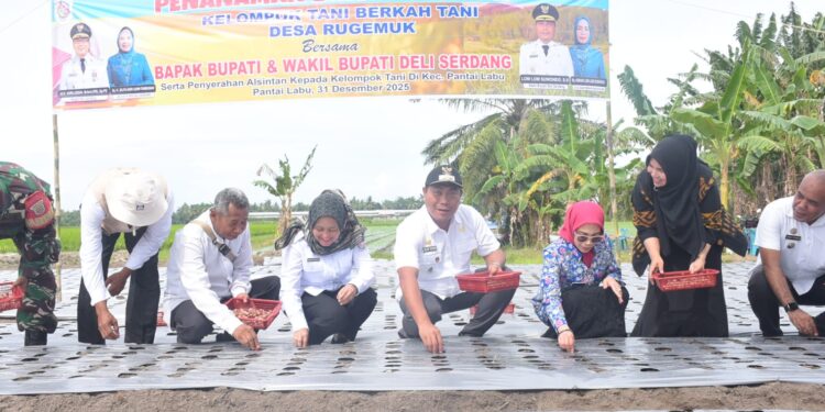 Petani Sukses Mampu Tingkatkan Produktivitas & Hasil Ekonomi yang Layak