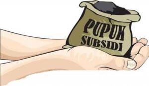 Sidak Pupuk Subsidi di Simeulue Dinilai Belum Tepat Petani Minta Pemerintah Tanyakan Harga Langsung ke Petani