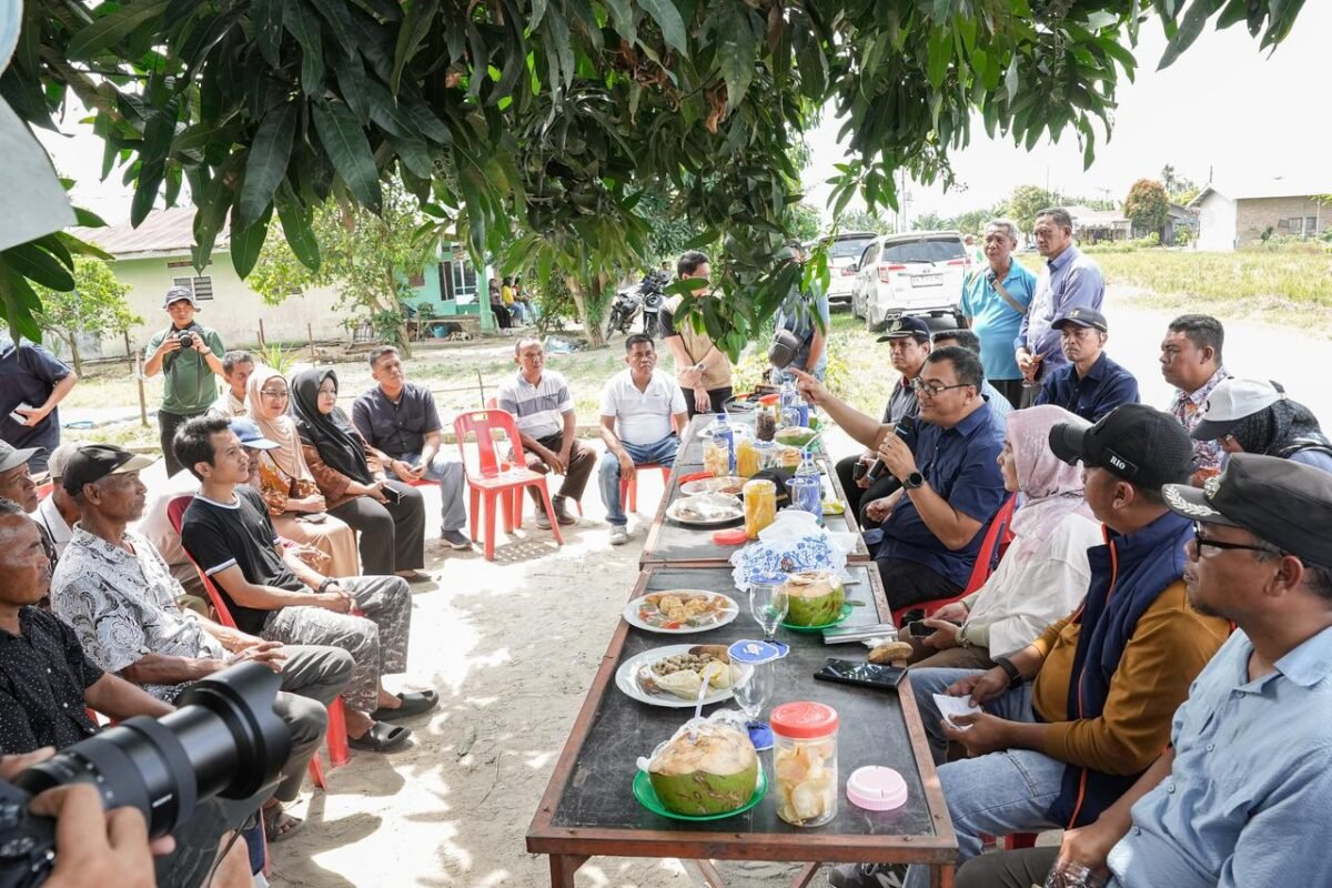Bupati Dukung Normalisasi Irigasi dan Penguatan Produksi Pertanian di Deli Serdang