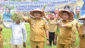 Menguntungkan, Petani Sidodadi Ramunia Deli Serdang Pilih Tanam Bawang Merah