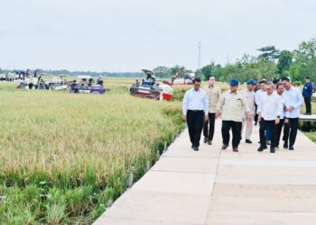 Prabowo Umumkan Indonesia Capai Swasembada Pangan Nasional 2025