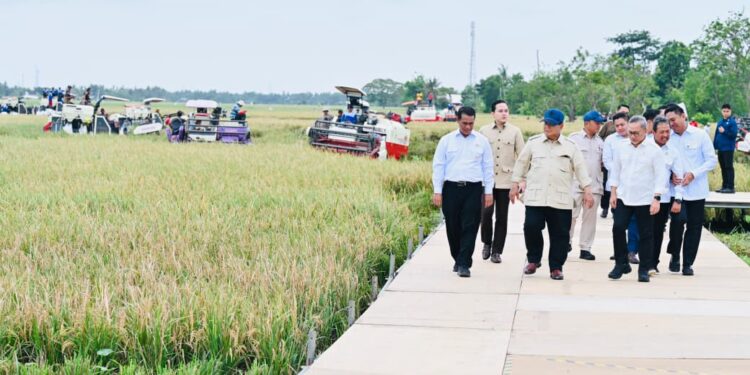 Prabowo Umumkan Indonesia Capai Swasembada Pangan Nasional 2025