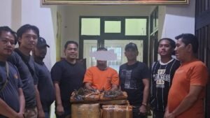 Bawa 26 Kg Ganja, Pelaku Narkotika Ditangkap Polisi di Labuhanbatu Selatan 