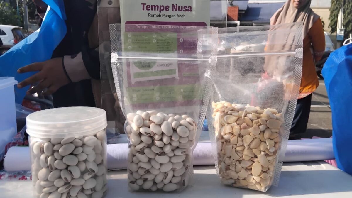 Rumoh Pangan Aceh Kembangkan Kacang Koro sebagai Alternatif Kedelai Impor