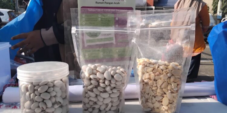 Rumoh Pangan Aceh Kembangkan Kacang Koro sebagai Alternatif Kedelai Impor