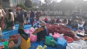 Rumoh Pangan Aceh Gandeng Masjid Oman Bantu Petani Penyintas Banjir
