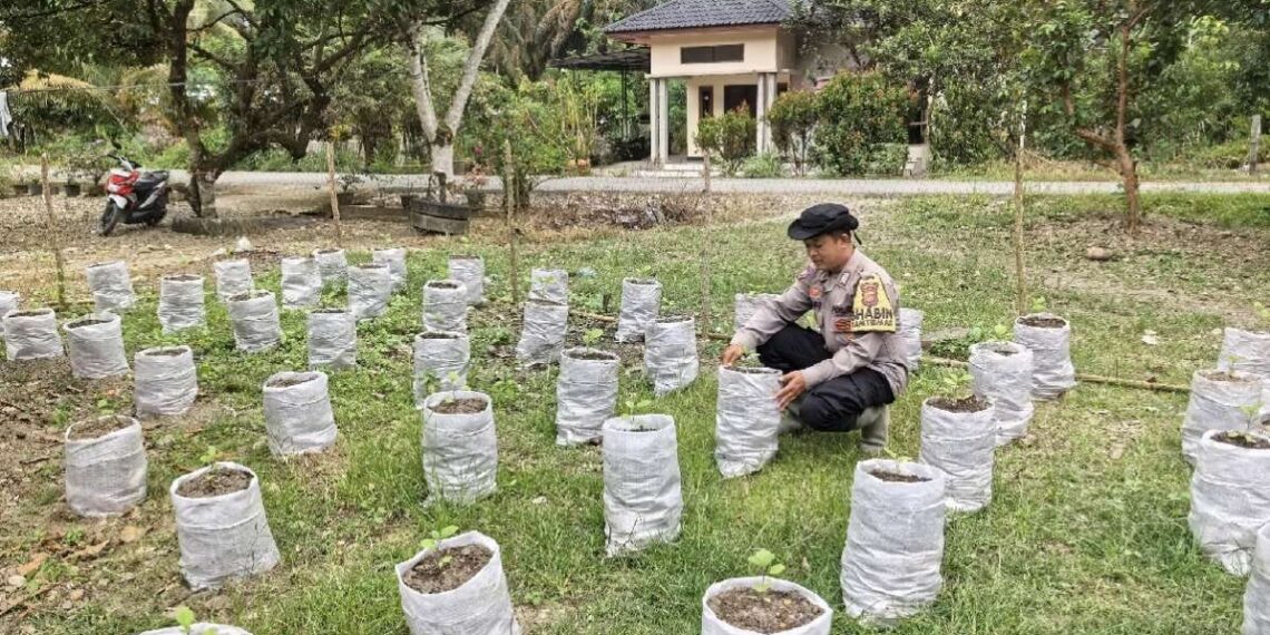Gagasan Kapolda Aceh Terbukti Berhasil, Lumpur Banjir Jadi Media Tanam Produktif