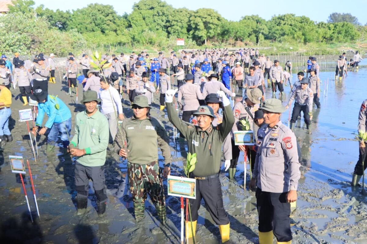Polda Aceh Tanam 10.000 Mangrove