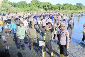 Polda Aceh Tanam 10.000 Mangrove