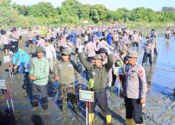 Polda Aceh Tanam 10.000 Mangrove