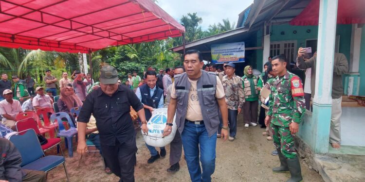 Bupati Simeulue Monas Hadiri Penyerapan Gabah Petani Bersama Perum Cabang Meulaboh