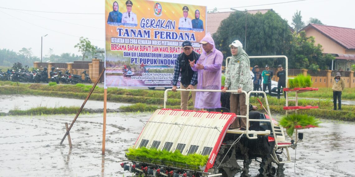 Wabup Deli Serdang: Penanaman Uji Coba IP 300, Target 1 Ha Hasilkan 9 Ton Bukan Hal Mustahil