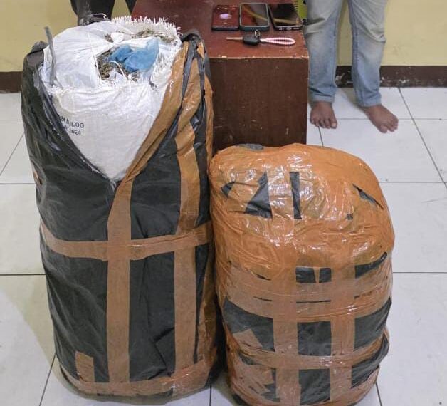 Ditresnarkoba Polda Sumut Gagalkan Peredaran 20 Kg Ganja Asal Aceh