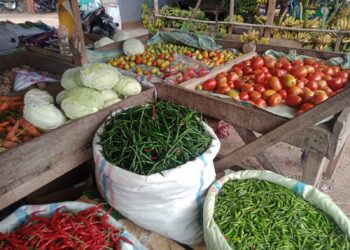 Jelang Ramadan, Harga Sembako di Pasar Induk Lambaro Merangkak Naik