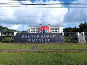 Pemerintah Kabupaten Simeulue Terima Bantuan Sapi Meugang dari Presiden Rp250 Juta