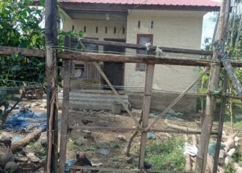 Rumah Bantuan di Aceh Utara Diduga Dijadikan Kandang Ayam